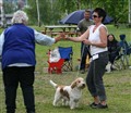 IMG_9777.jpg