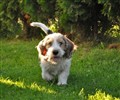 jussi 2010 135.jpg
